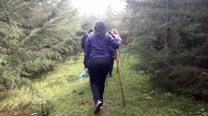 Hiking At Kereita Forest