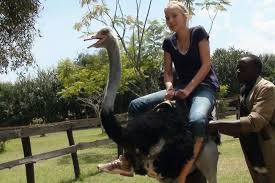 Masai Ostrich Farm Kitengela Ostrich Ride