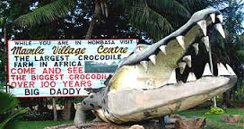 Nairobi Mamba Village Centre