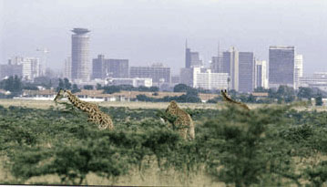 Nairobi National Park