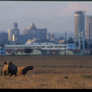 Nairobi National Park