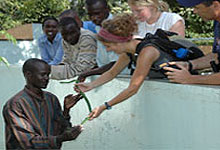 Tourist At The Snake Park Nairobi