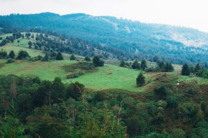 Read more about the article ZIP LINING | HIKING AT KEREITA FOREST CAVES AND WATERFALL TOUR