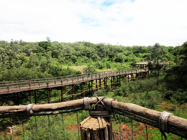 You are currently viewing NAIROBI SAFARI WALK DAY TOUR